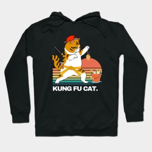 Kung fu cat funny Hoodie